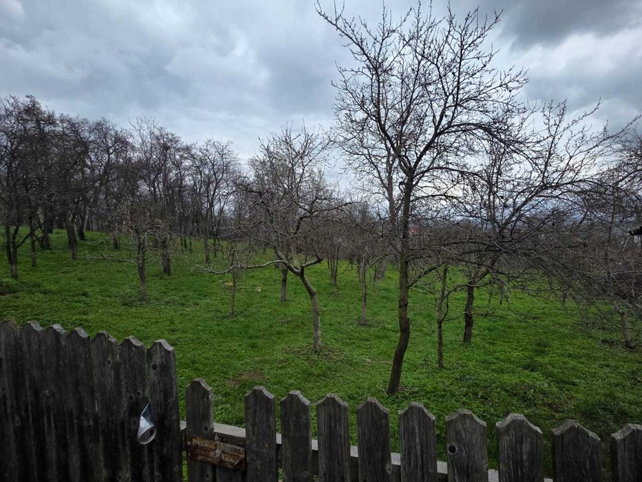 Vand casa cu sura, curte mare si gradina in Bosanci , Suceava