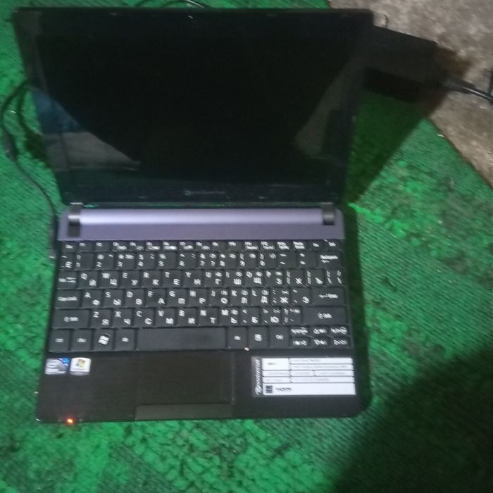 Netbukcha sotiladi