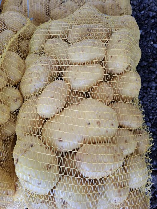 Картофи Агата 0,80€