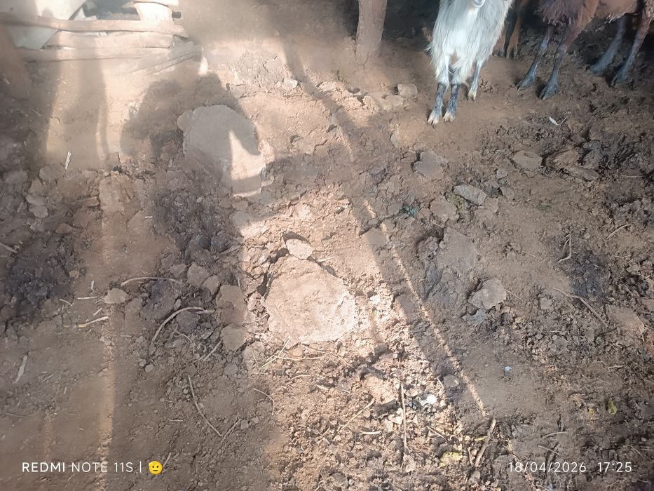 Nuri sotiladi NURI CHALMA QUYDIKI Moldiki