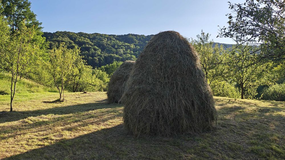 Fan de vanzare | baloti fan | fan animale