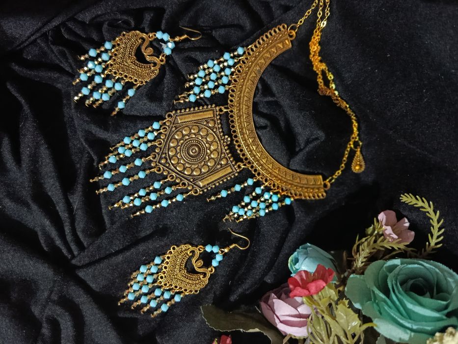 Zebigardon ziragi bn