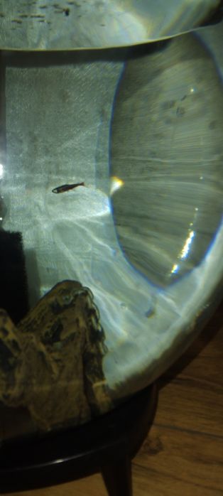 Аквариум с рыбками и насосом