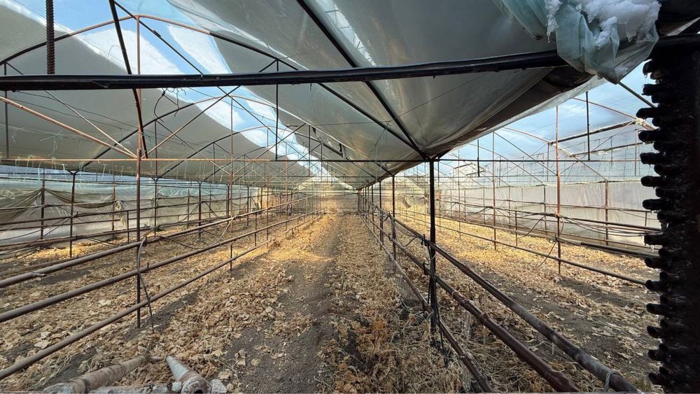 Yangi O’zbekiston, Mirzo Ulug’bek tum, Alisher obod mahallada yer