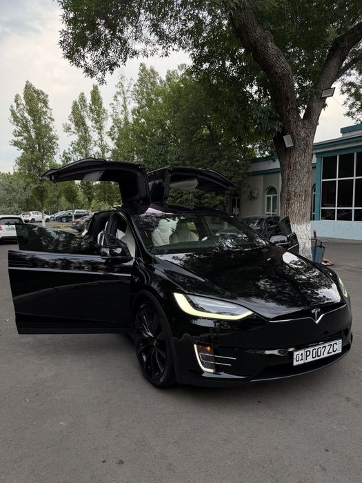 Tesla Model X Perfomance Duall Motor