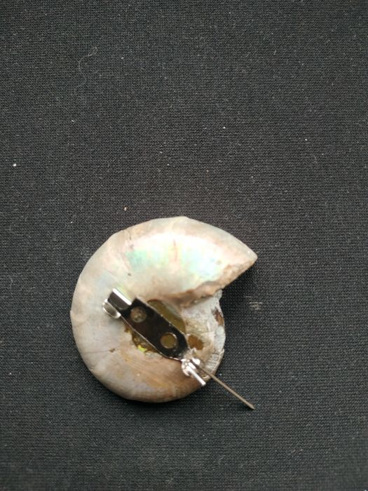 Брошка от естествен амонит-фосил