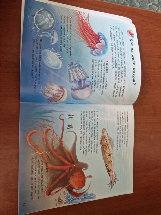 Книжка Океаны и моря