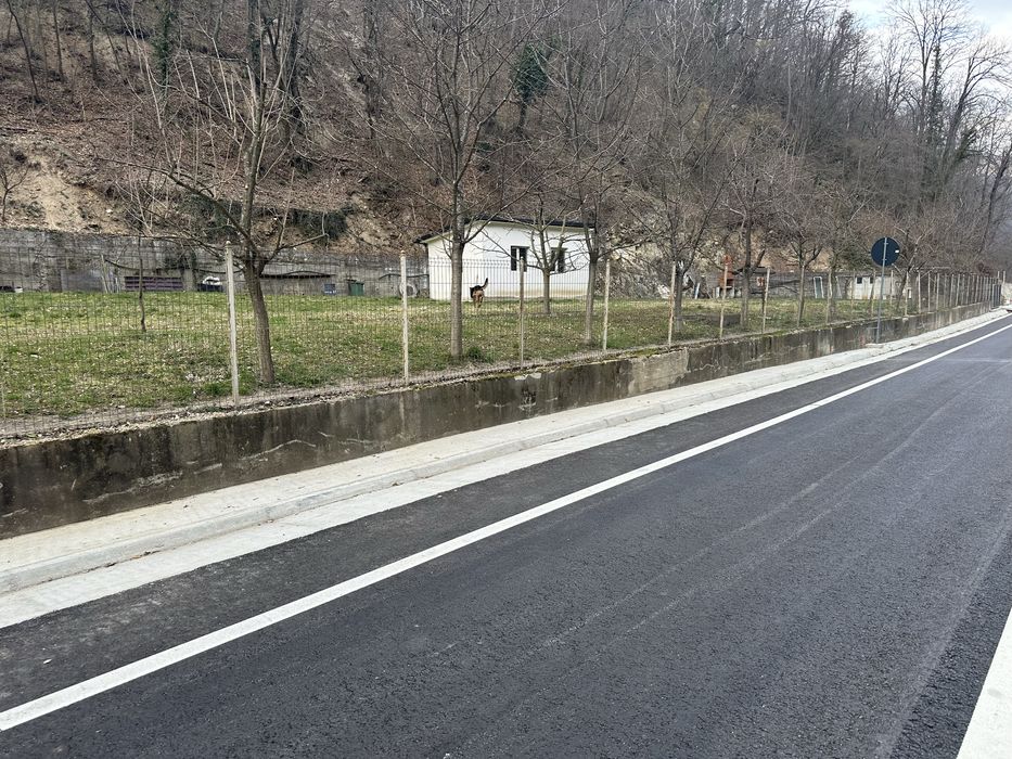 Vand teren intravilan in Baile Herculane pozitie deosebita 2500 mp !