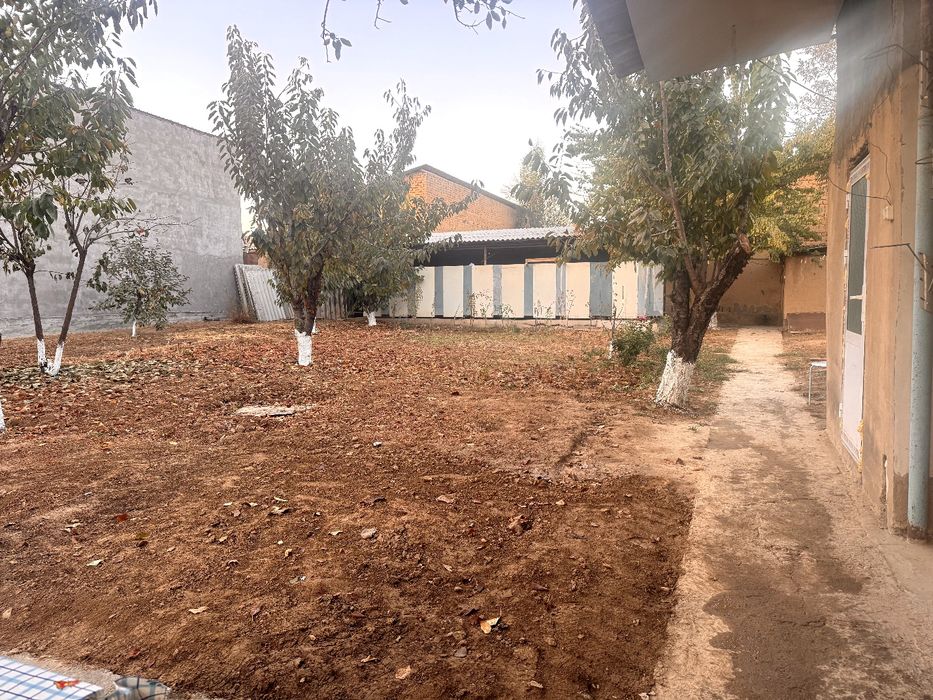 Xovli sotiladi 8 sotok Qibray tumani. Barcha sharoiti uy ichida