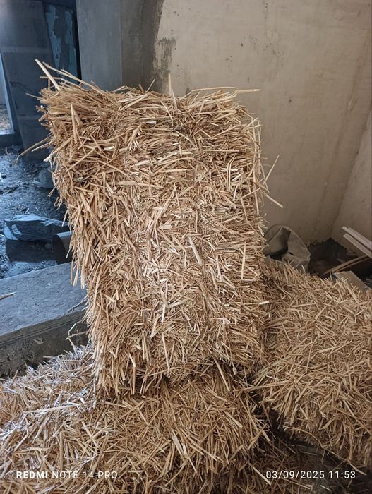 Тоза Сомон прес.