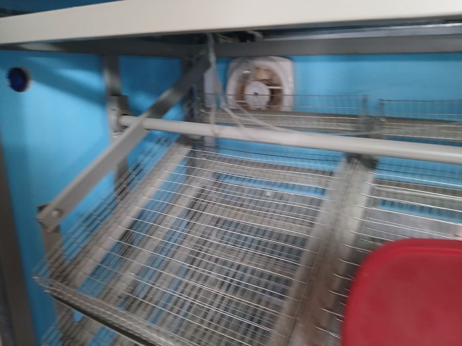 Большой инкубатор