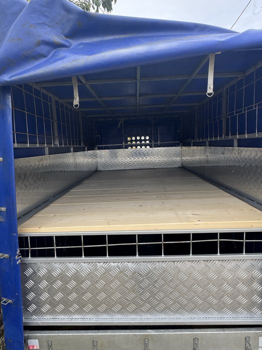 Transport animale vii!