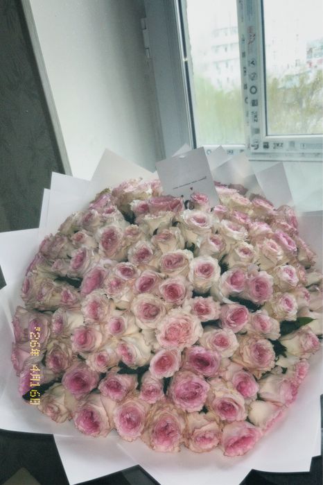 101 роза (запискасымен)