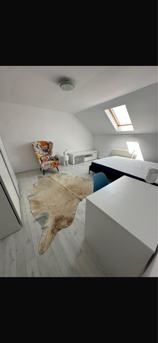 Vand ap 1 camera Frunzisului