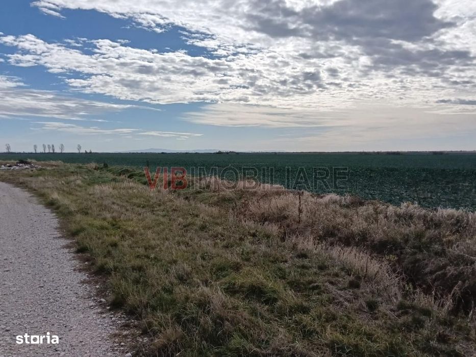 Ferma Agricolă 1.350 HA – Grad de Comasare 96–97%, Județul Arad