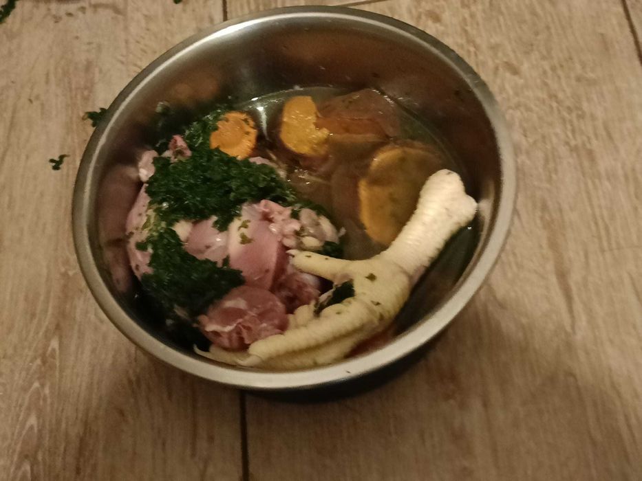 Dresaj canin si disciplina de baza