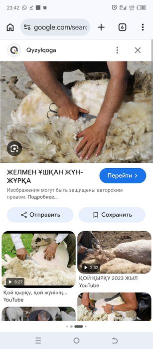 1000тг Қой ҚЫРҚАМ