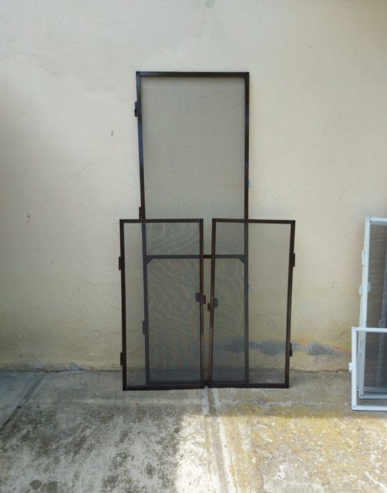 Plase insecte/ tantari