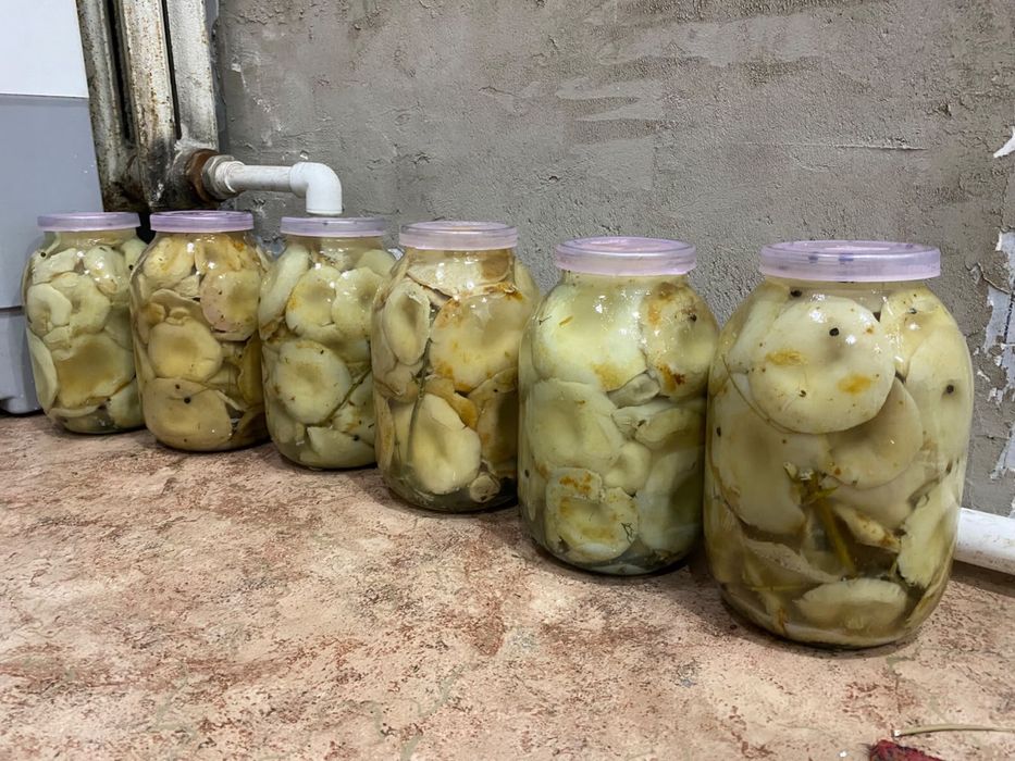 На продажу грибы