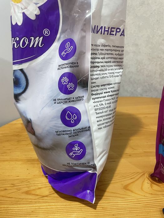 лоток и миски для котят