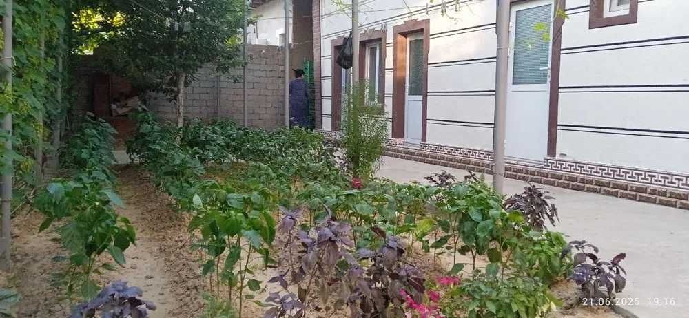 Срочно...Лайлак махалла 4.2 соток 5 хона