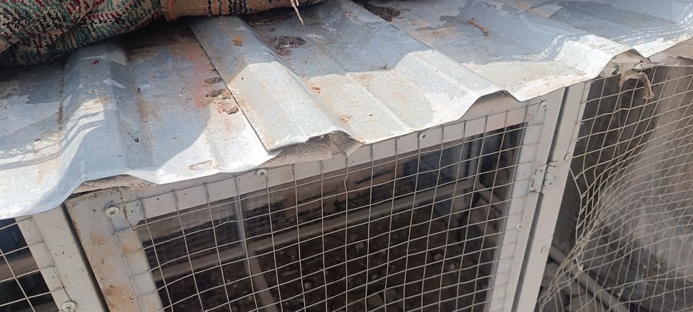 Катак, клетка сотилади