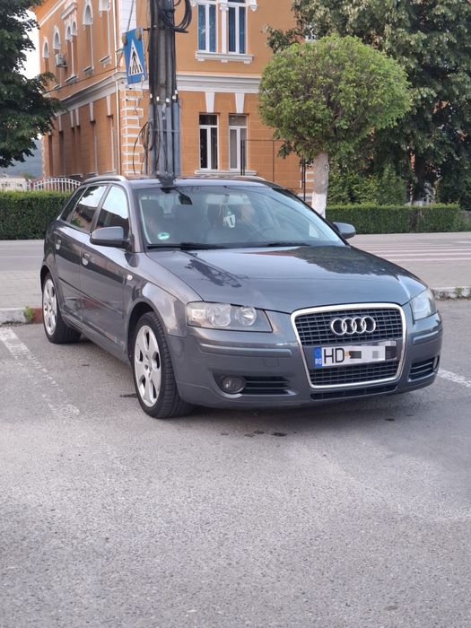 Audi A3 8P./1.9 TDI