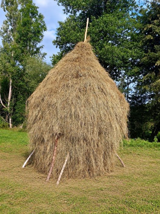 Fan   de   vanzare