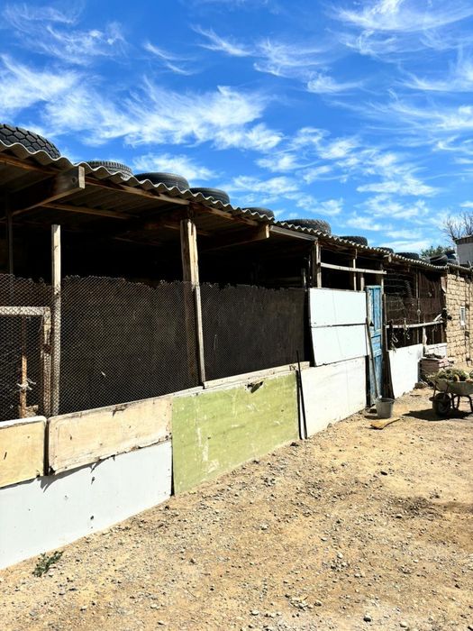 Продам дачу ново джамбул