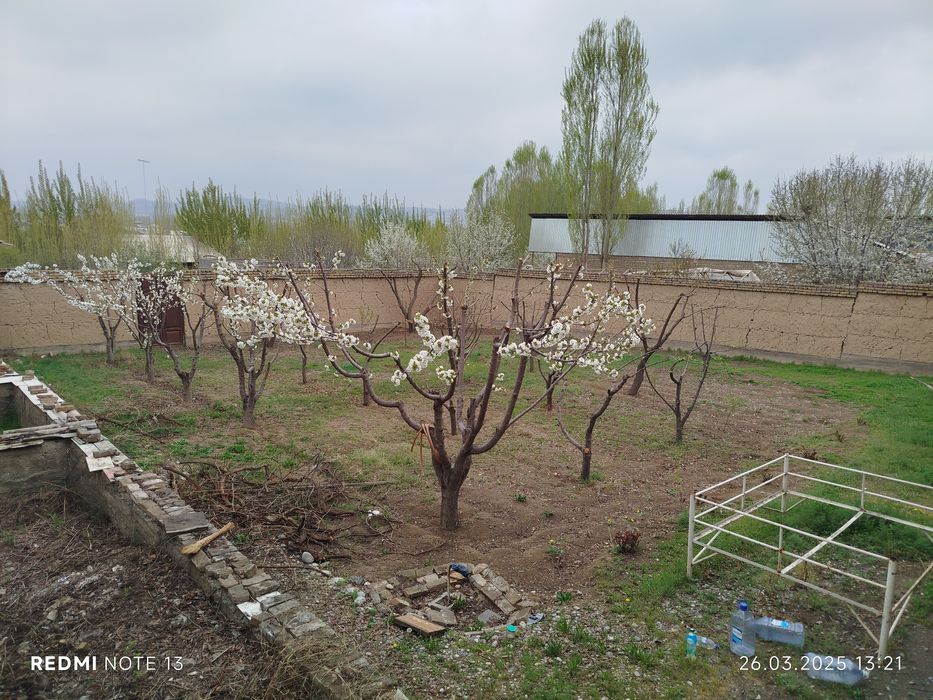 Ховли сотилади 12 сотих Мирпустин кучаси мулжал 9 дамас охирги бекати.