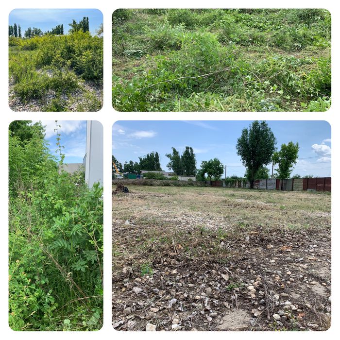 Servicii de curățare și defrișare ternuri de vegetație spontană….etc!!