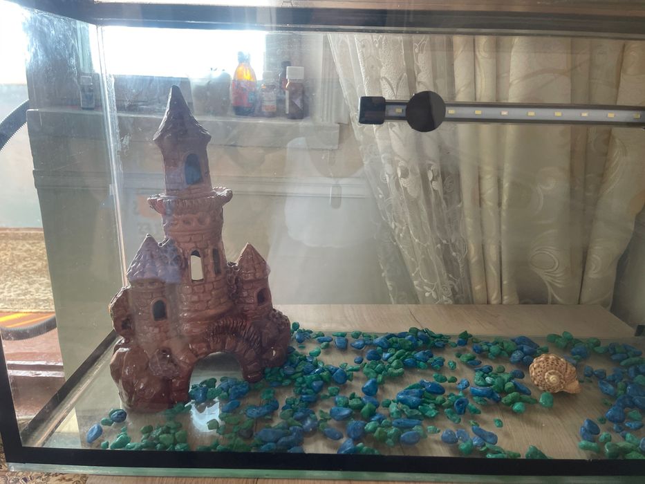 Большой аквариум