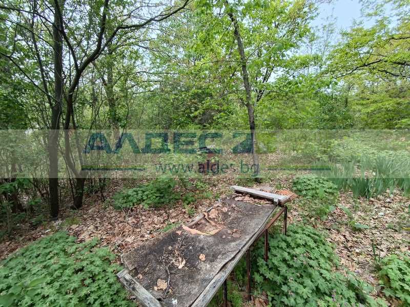 Продава се Парцел в с. Царичина, Област София-област - 1003 кв.м за 30 €/кв.м - Снимка #2