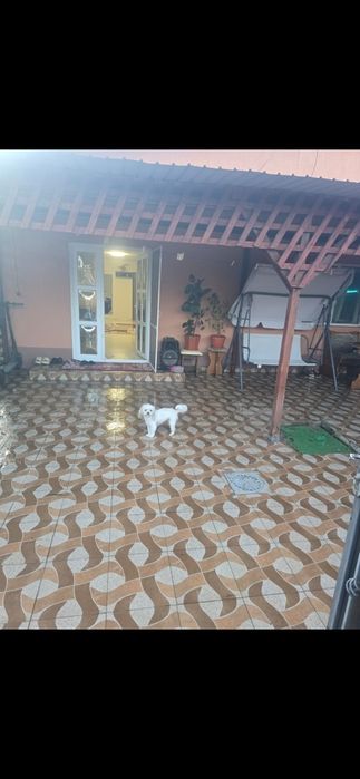 Vând casa Fetești IL