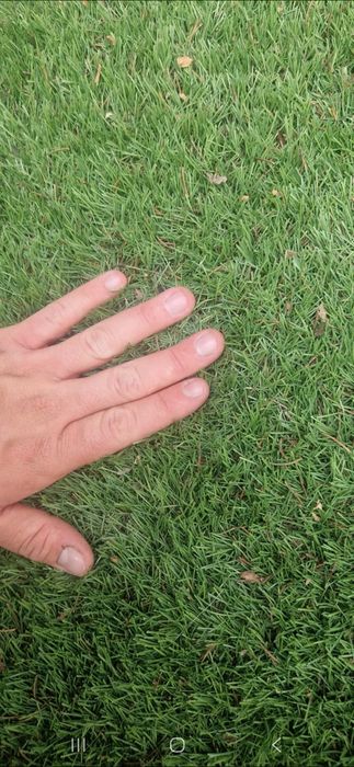 Vand gazon artificial