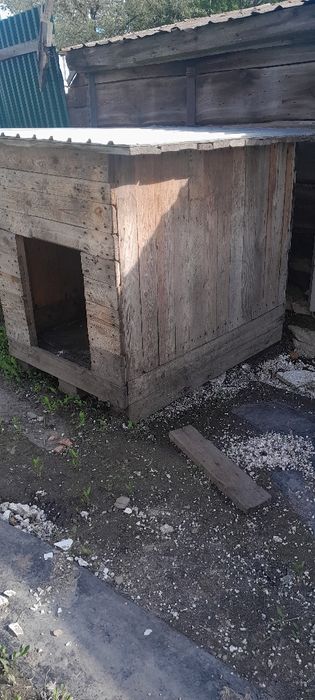 Будка для большой собаки