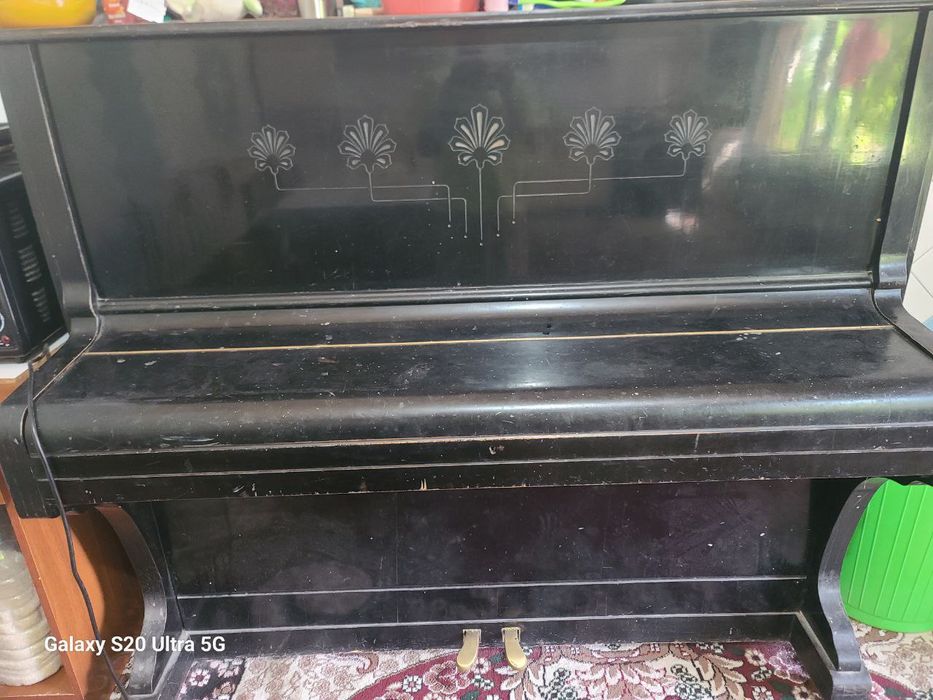 Pionino Mustrest 900 min