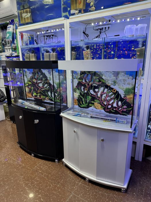 Akvarium 150- litrlik