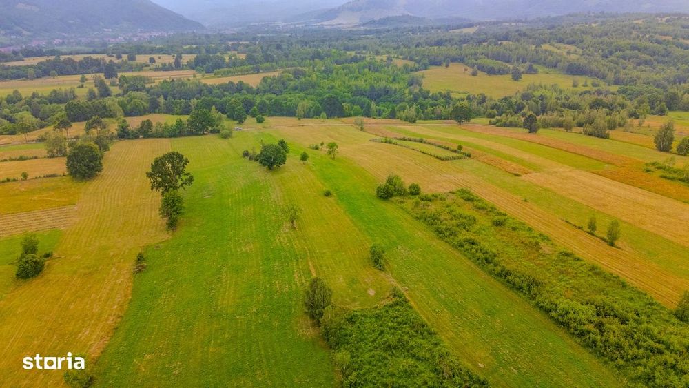Șinca Nouă – 8.439 mp pentru agricultură, apicultură și investiție