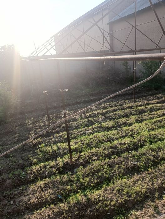 Парник сотилади бир сотихлик