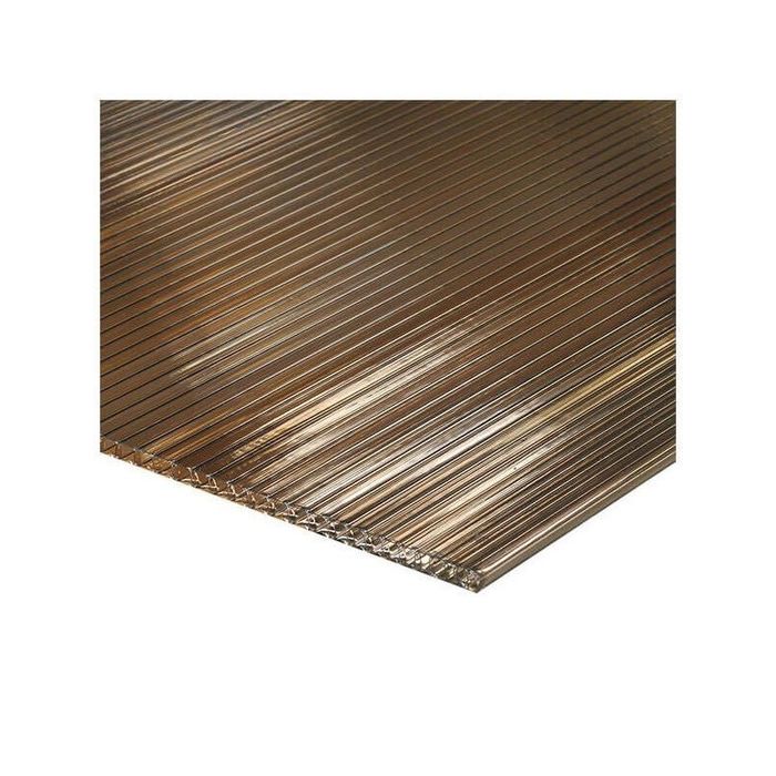 Policarbonat celular 4mm - 16mm -transparent/fumuriu