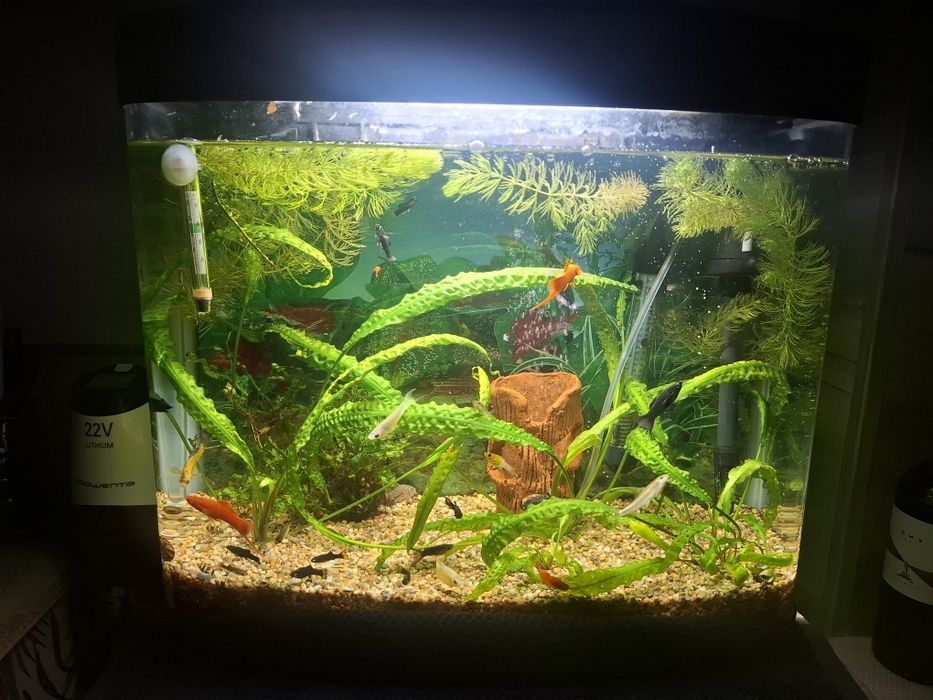 Продавам два  Аквариума