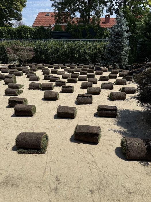 Mentenanta spati verzi Complexuri , gradini terasa private !!!