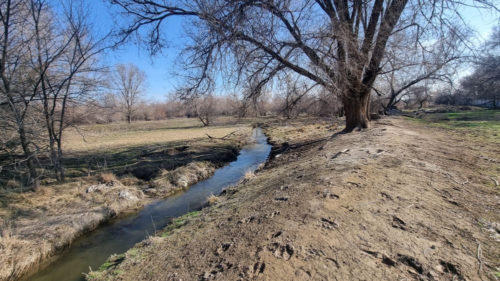 Продается фазенда