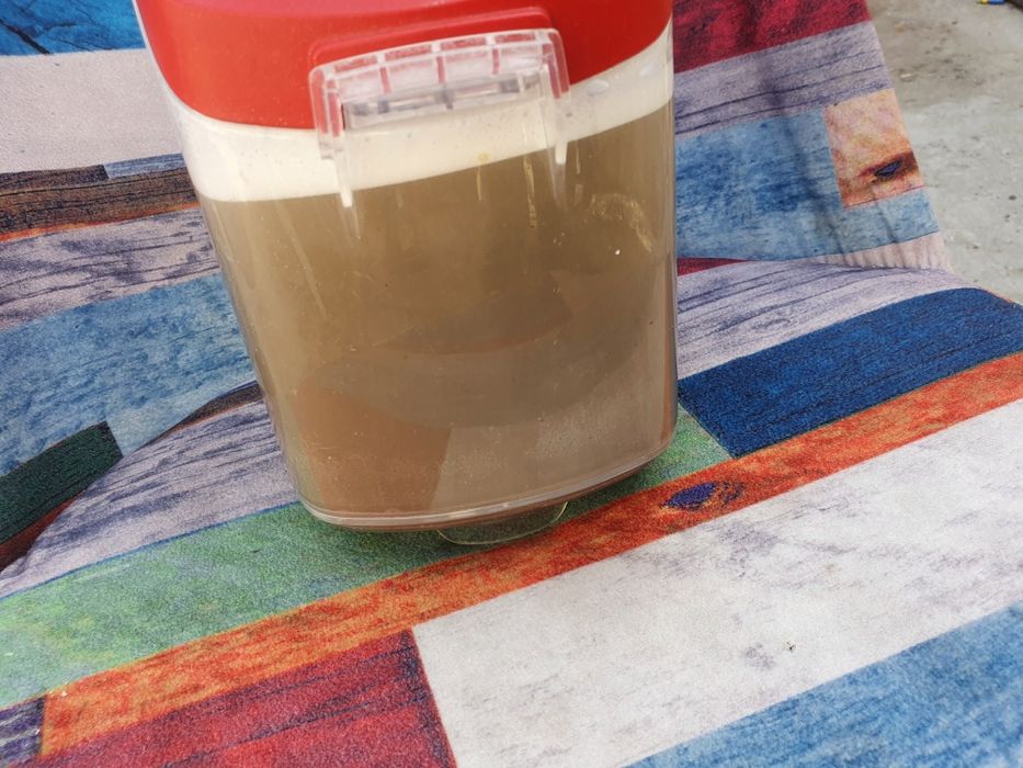 Curatarea scaunelor, mochetei,canapelei,saltelei