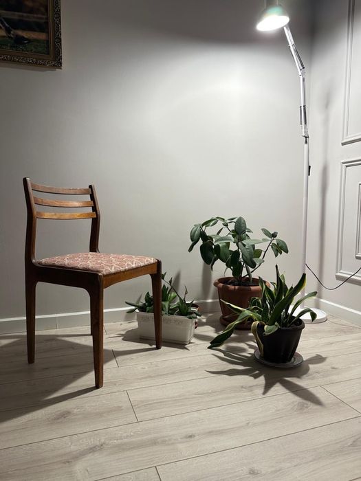 Стол со стульями