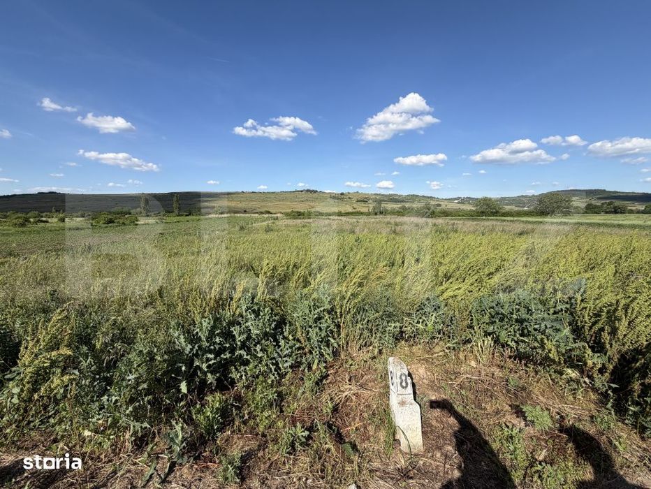 Teren intravilan in suprafata de 5900 mp la drum european