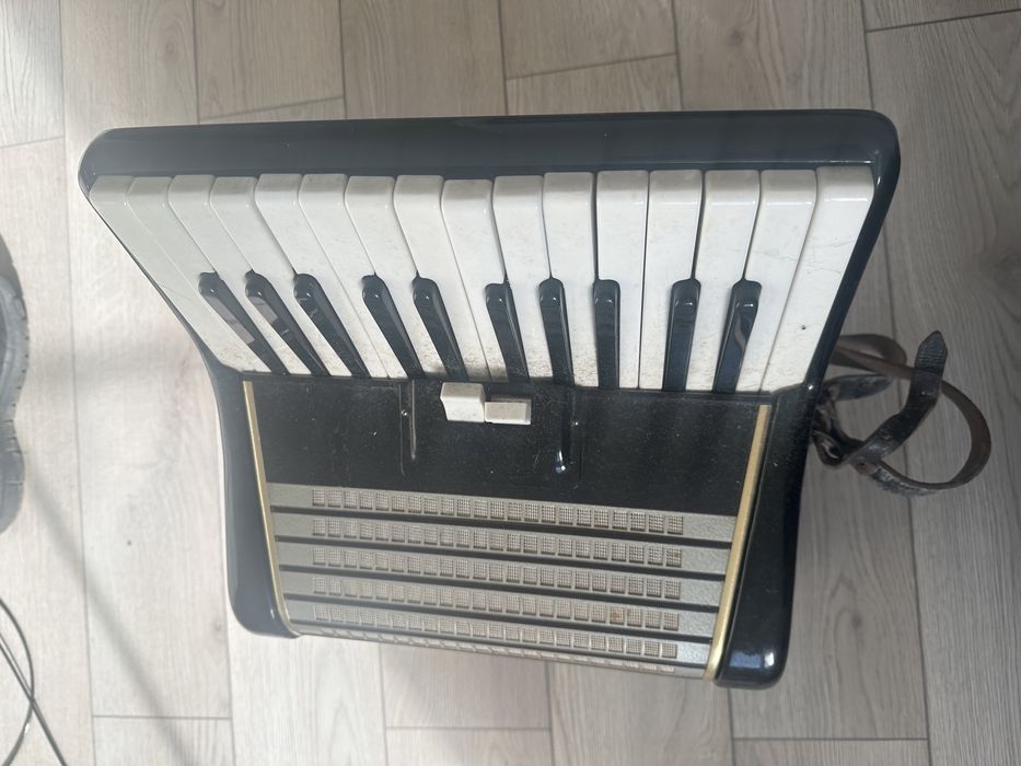 Acordeon weltmeister 1964