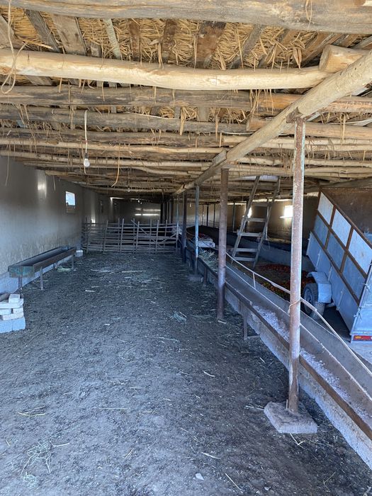 Участок с фермой 40соток срочно