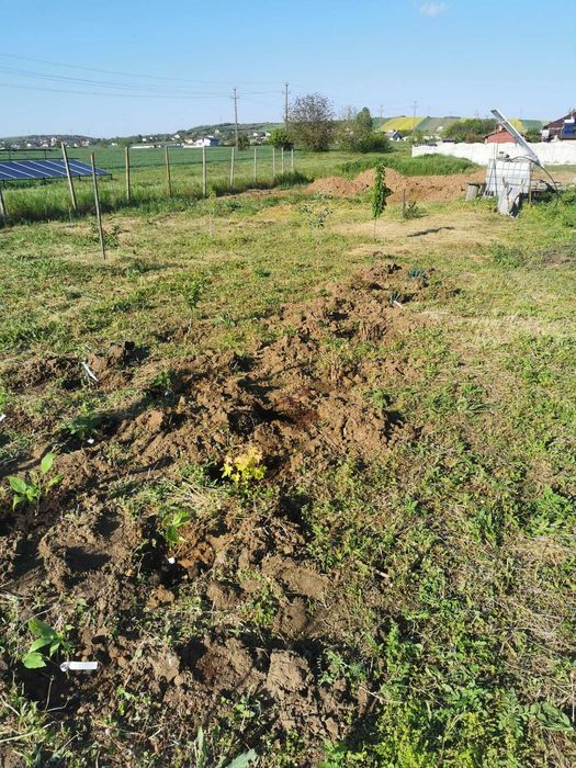Direct Proprietar | Teren Intravilan 890 mp cu cale de acces privată, Șimnicu de Sus (Dudovicești)